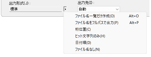 出力形式の設定